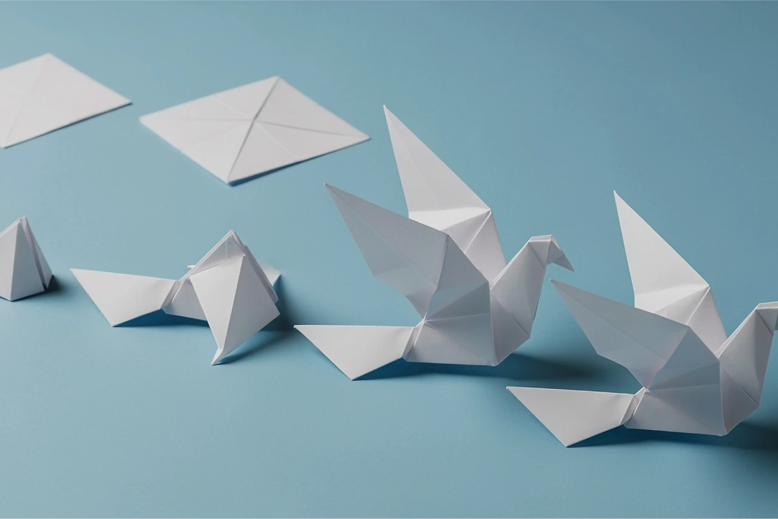 Leadership Development